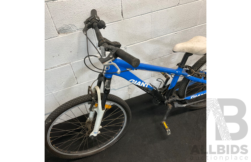 GIANT Kids J24 Mountain Bike