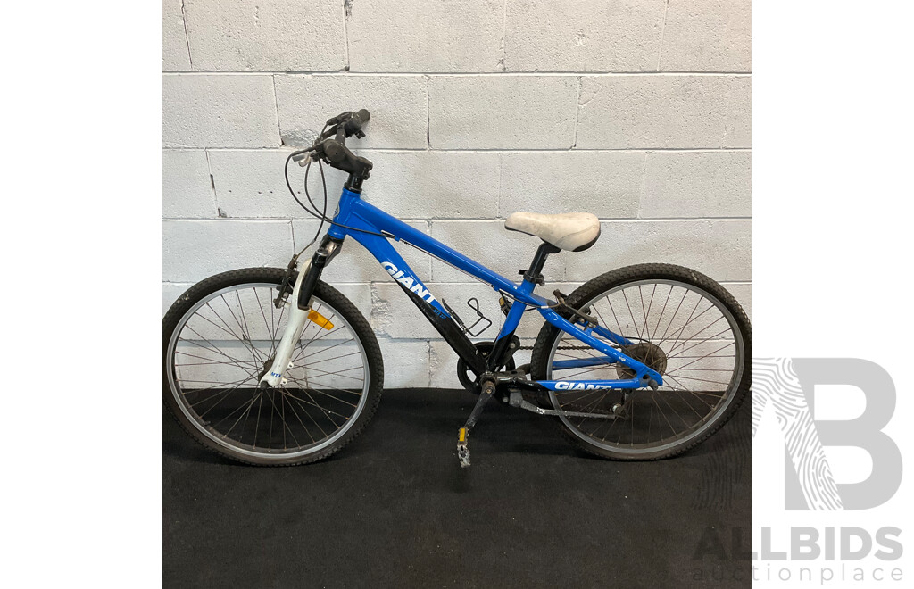 GIANT Kids J24 Mountain Bike