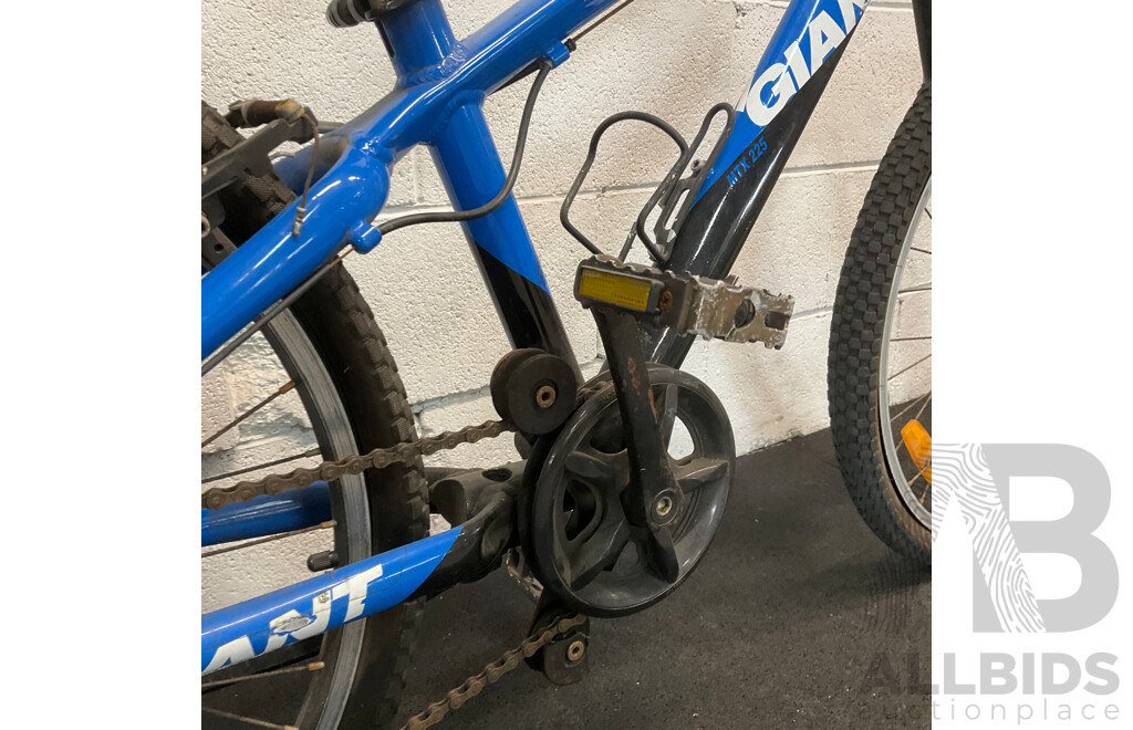 GIANT Kids J24 Mountain Bike