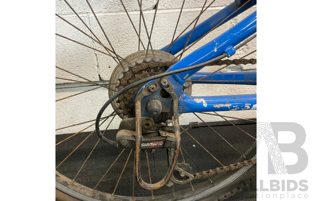 GIANT Kids J24 Mountain Bike