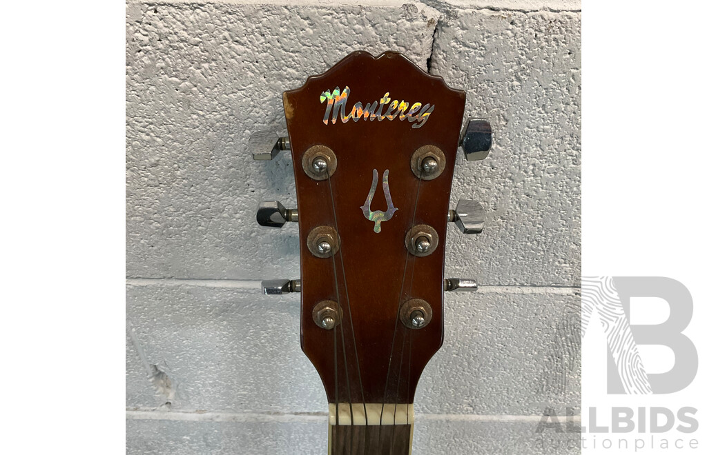 Monterey Mac025TNPAK Acoustic Guitar