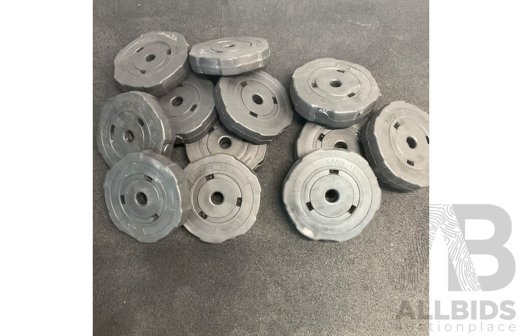 Weight Plates 8 X 2.5k and 4 X 3kg and Mini Exercise Bike - Lot of 13