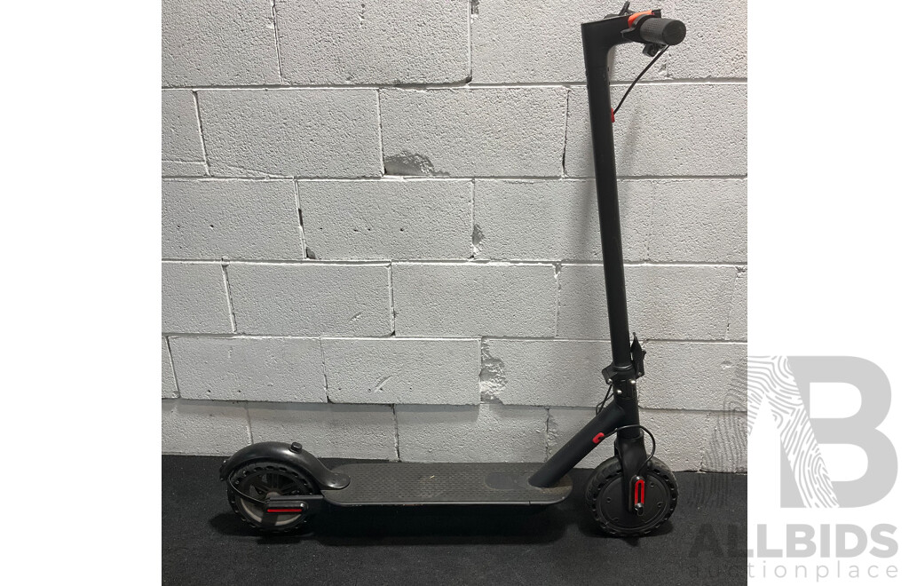 Electric Scooter