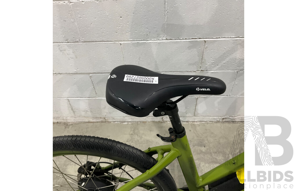 Painted Green E-bike