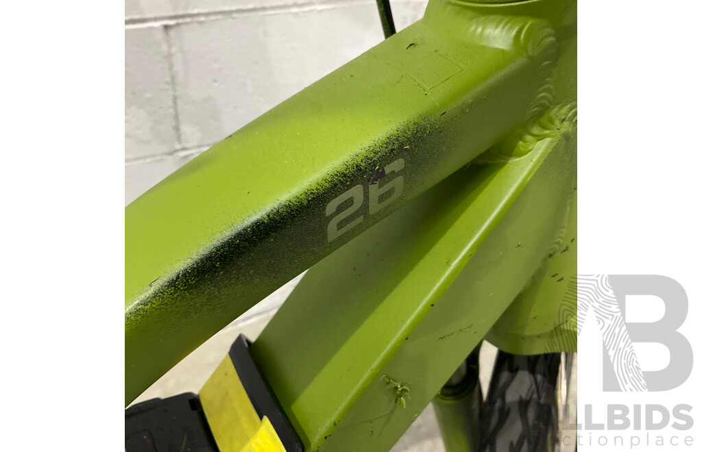 Painted Green E-bike