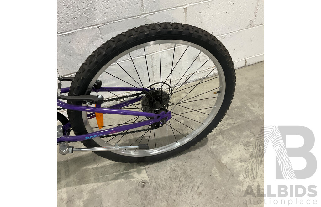 CYCLOPS Traxx 60cm MTB - Purple