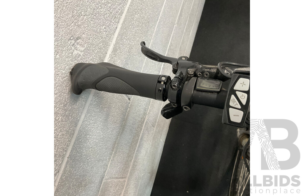 EARTH T-rex 29'' E-bike