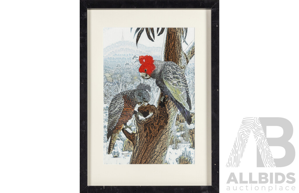 Rod Usback, (20th Century, Australian, 1944-), Gang Gang Cockatoos with Telstra Tower, Original Limited Edition Digital Colour Print, 64H x 47W cm (frame)