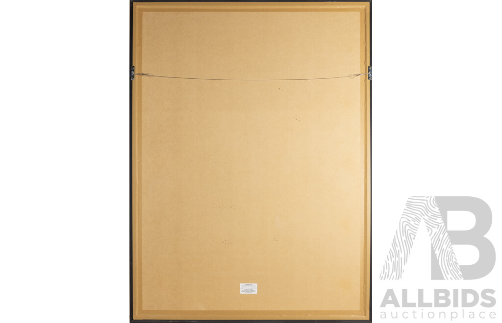 Framed Hawthorn Football Club 5 Decades of Flags Photo Montage with Jersey