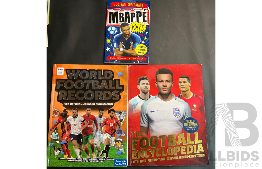 Wings of Fire, Minecraft, and Assorted Children's Reading Books