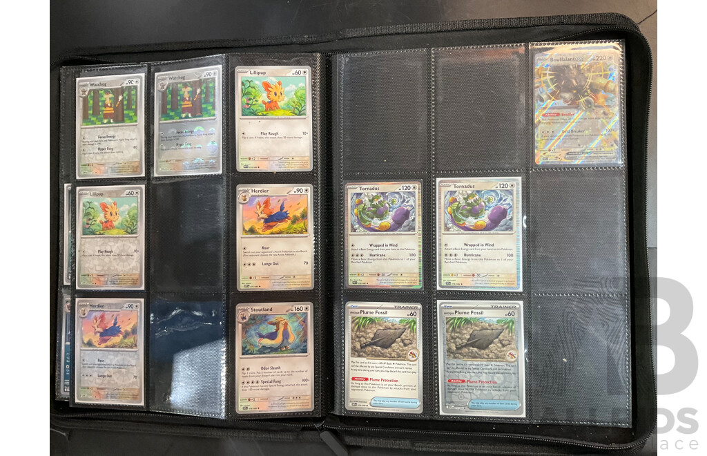 Two Albums with BLK & WHT Pokémon Cards (EN)