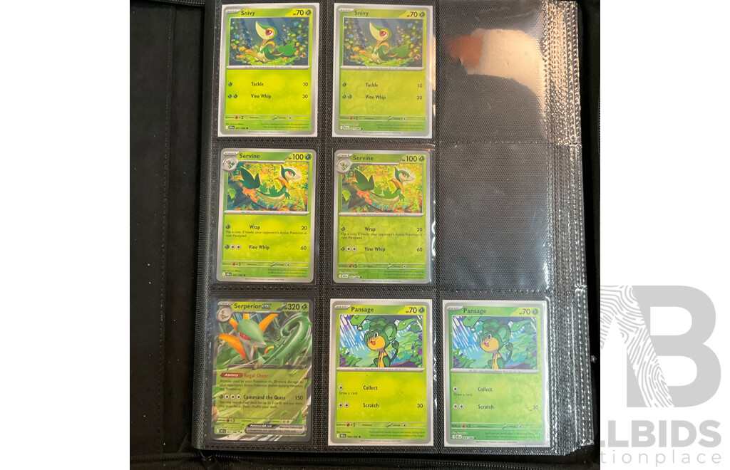 Two Albums with BLK & WHT Pokémon Cards (EN)