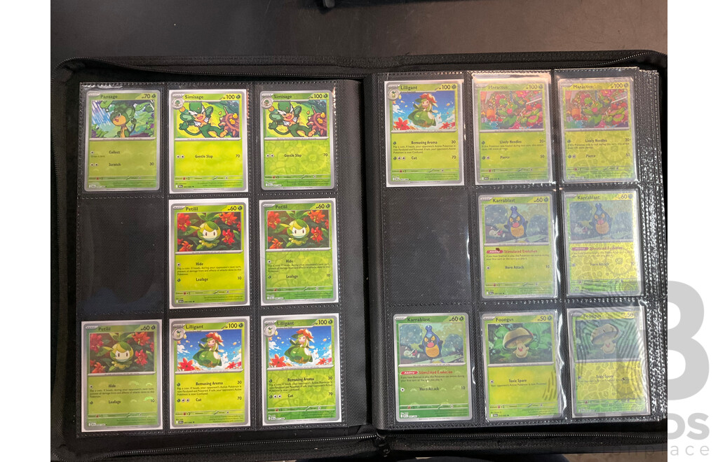 Two Albums with BLK & WHT Pokémon Cards (EN)