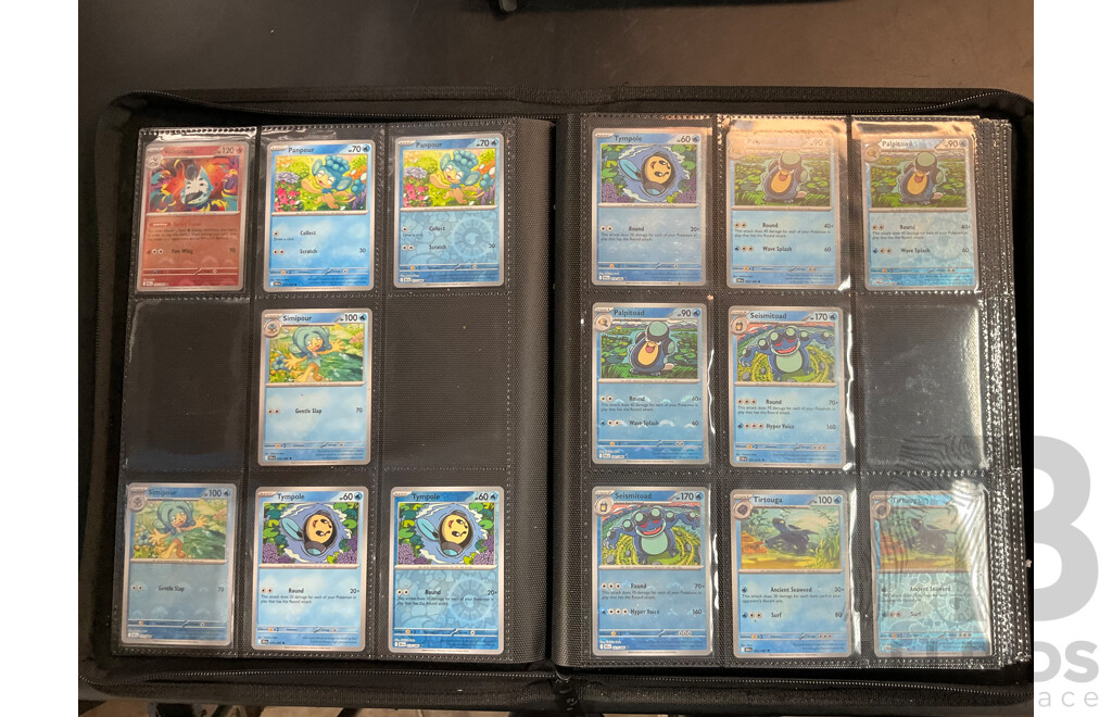 Two Albums with BLK & WHT Pokémon Cards (EN)