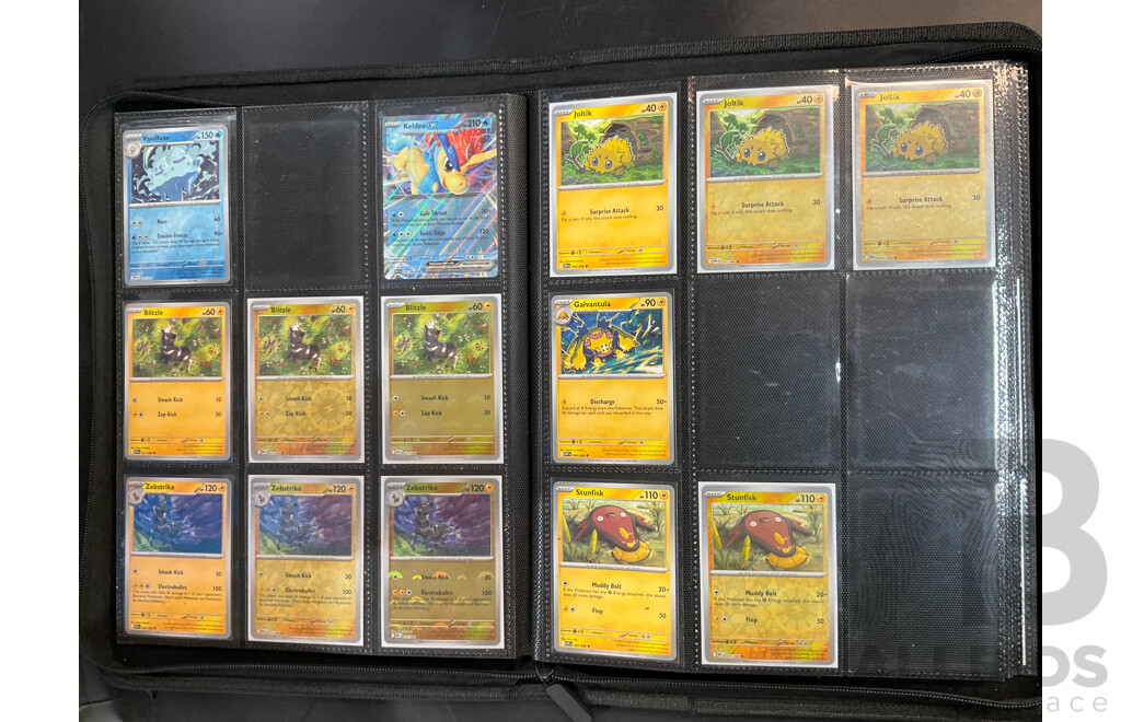 Two Albums with BLK & WHT Pokémon Cards (EN)