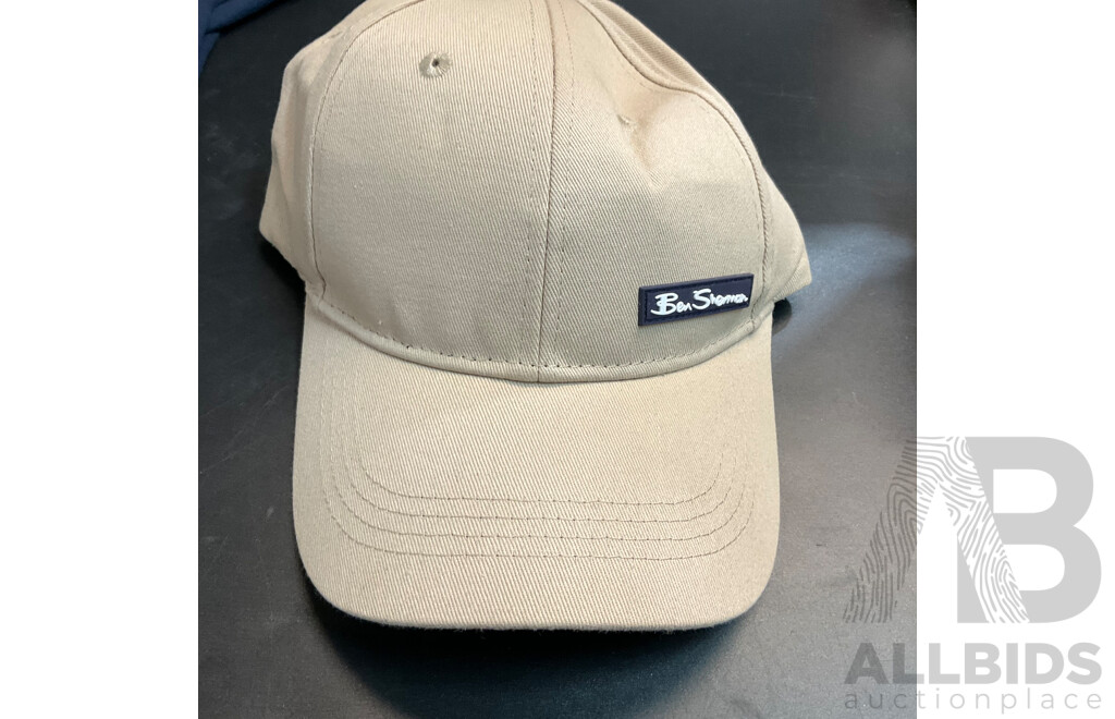 Nautica T-shirt Size M & Kenji Trunks Size S & Under Armour, Ben Sherman Hats - Lot of 5