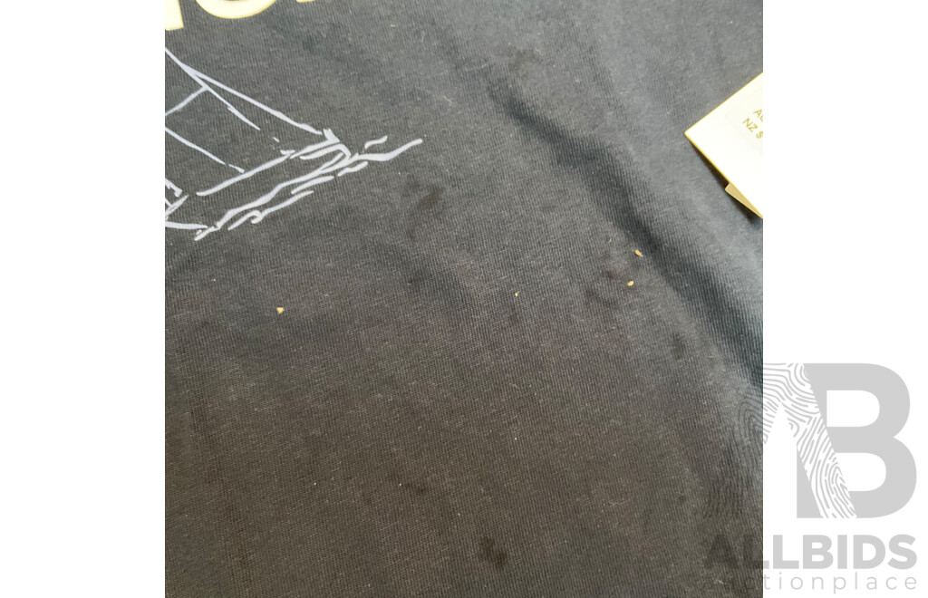 Nautica T-shirt Size M & Kenji Trunks Size S & Under Armour, Ben Sherman Hats - Lot of 5