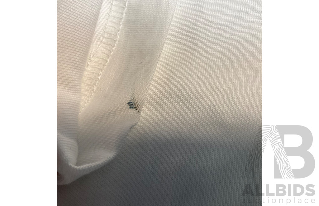 Nautica T-shirt Size M & Kenji Trunks Size S & Under Armour, Ben Sherman Hats - Lot of 5