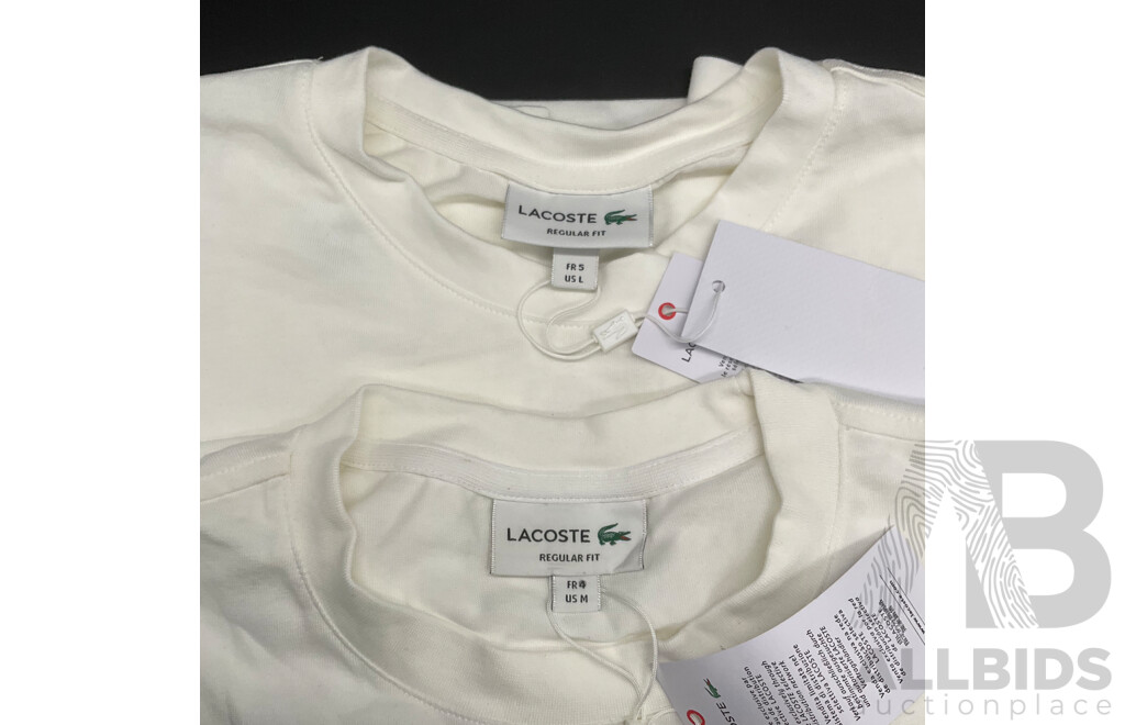 LACOSTE T-shirt with Logo (M,L) and NAUTICA Hoodie (L) - Lot of 3