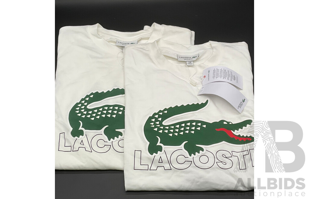 LACOSTE T-shirt with Logo (M,L) and NAUTICA Hoodie (L) - Lot of 3