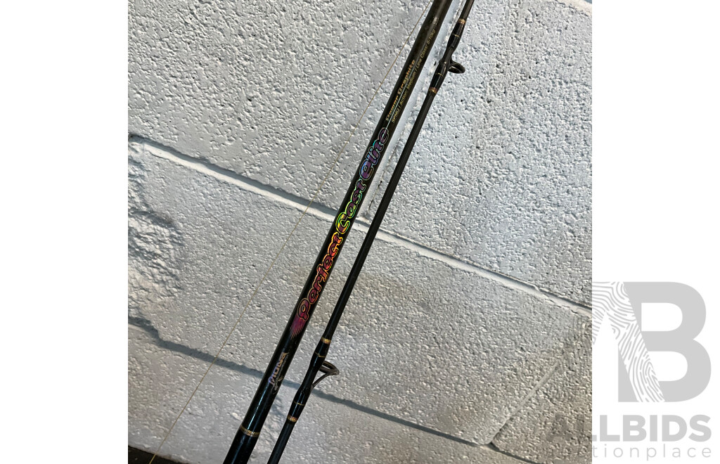 Assorted Fishing Rods - Lot of 4