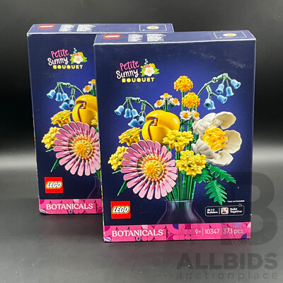 LEGO Botanicals (10347) - Petite Sunny Bouquet - Lot of 2