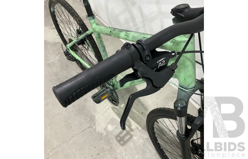 Custom Painted Bike (Brand Unknown)