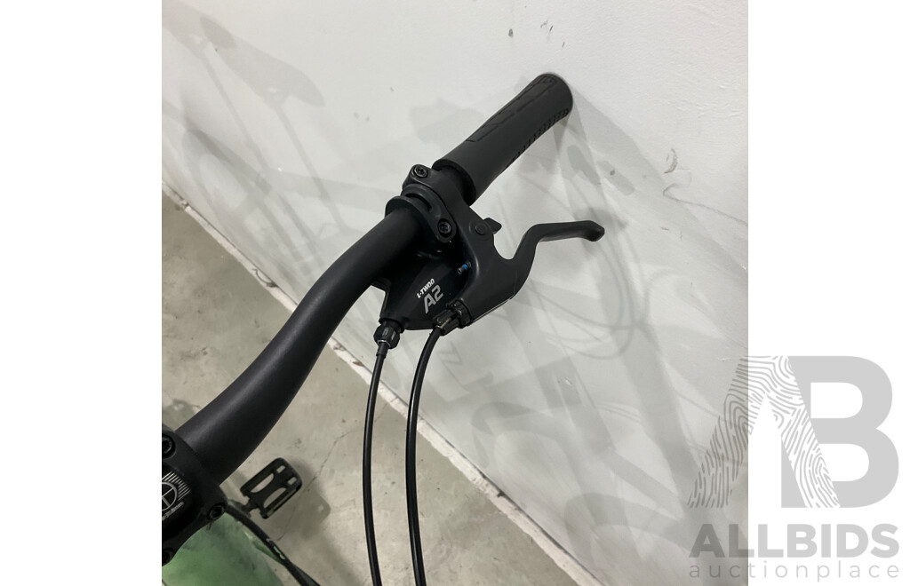 Custom Painted Bike (Brand Unknown)