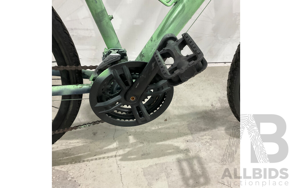 Custom Painted Bike (Brand Unknown)