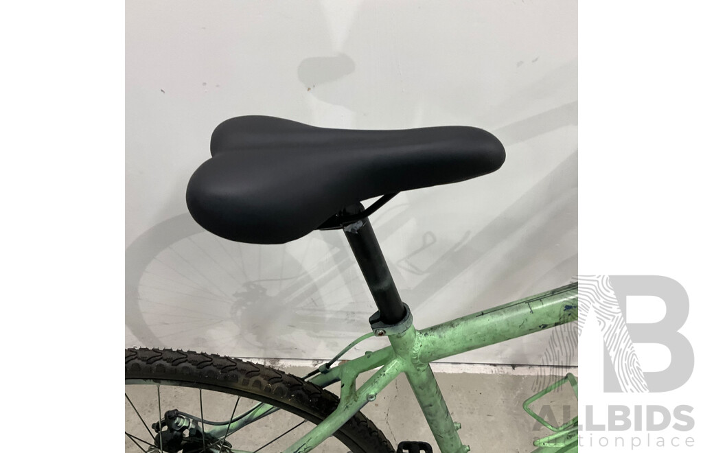 Custom Painted Bike (Brand Unknown)