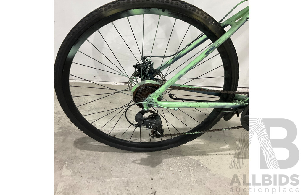 Custom Painted Bike (Brand Unknown)