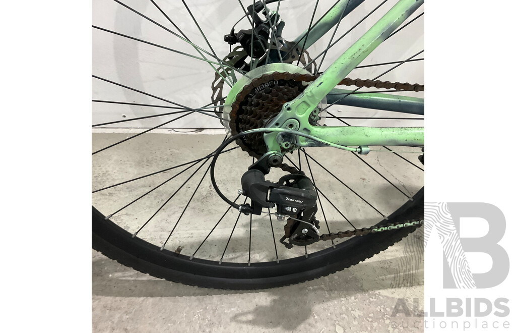 Custom Painted Bike (Brand Unknown)