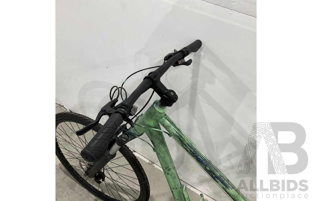 Custom Painted Bike (Brand Unknown)