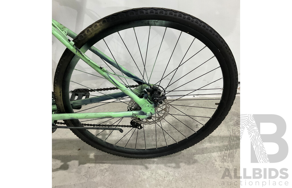 Custom Painted Bike (Brand Unknown)