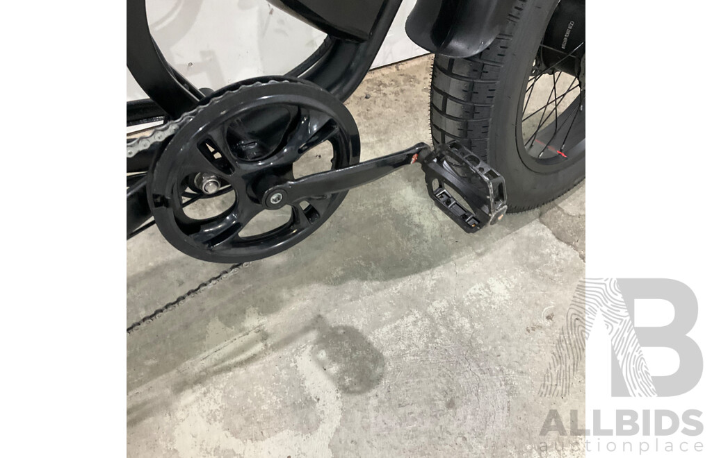 Fat-Tyre E-Bike