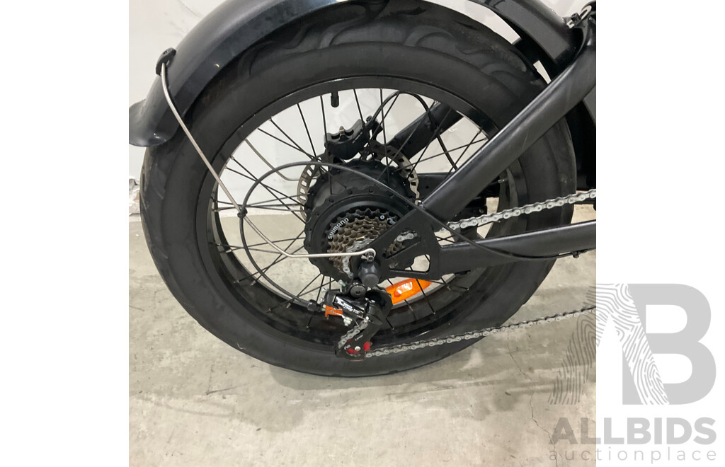 Fat-Tyre E-Bike
