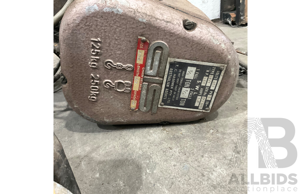 GIS Electric Chain Hoist