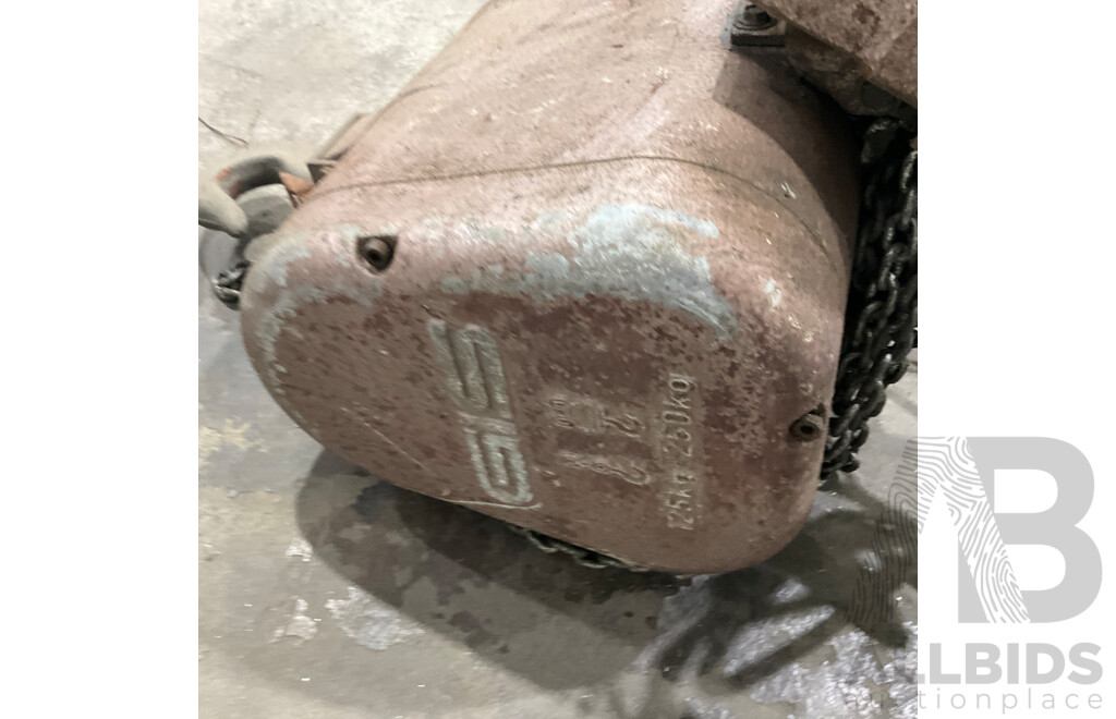 GIS Electric Chain Hoist