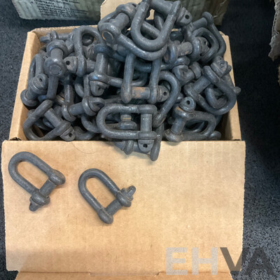 Assorted Plumbing and Electrical Supplies