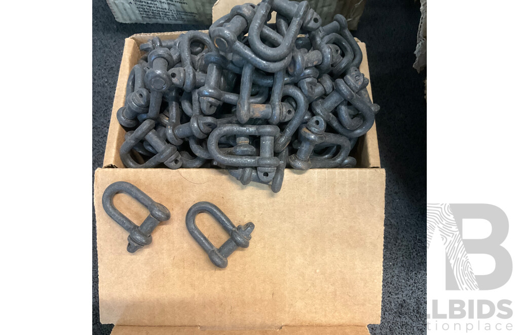 Assorted Plumbing and Electrical Supplies