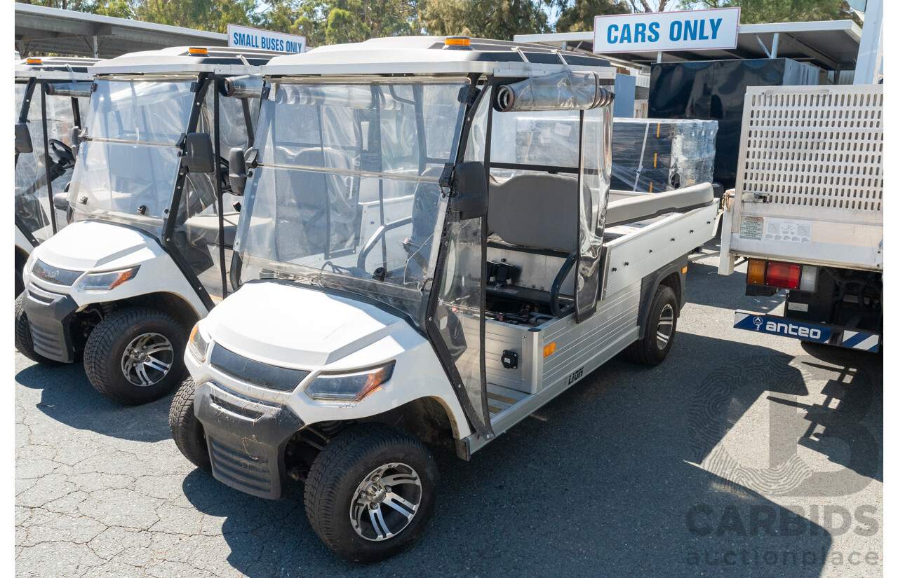 08/2020 Lion Carrymax A827H8 Utility Electric Cart 2-Seater - 4kw