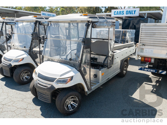 08/2020 Lion Carrymax A827H8 Utility Electric Cart 2-Seater - 4kw