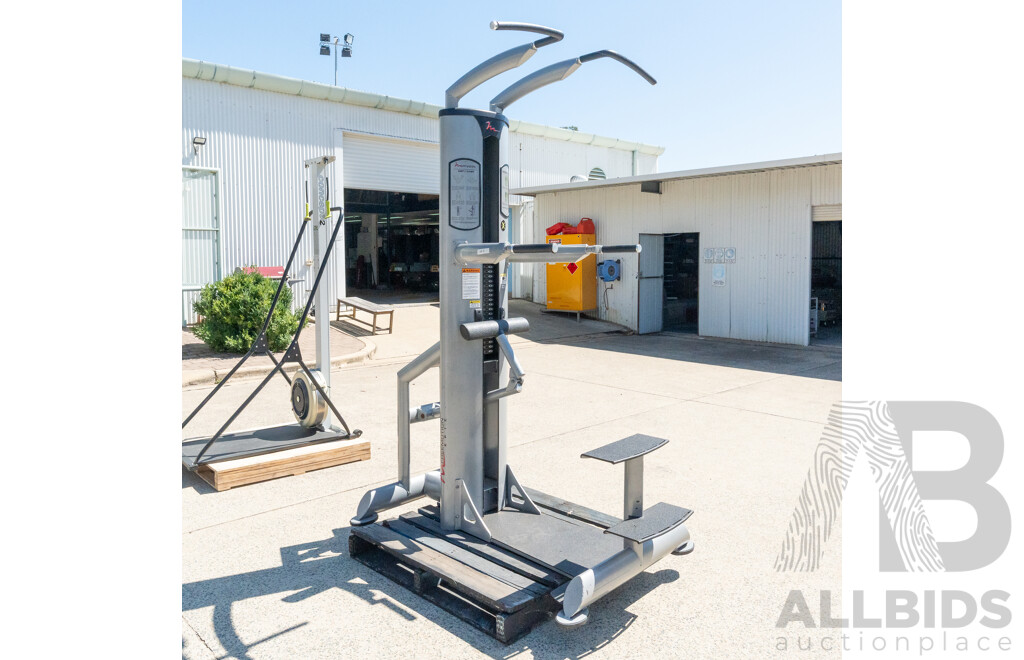 Freemotion Epic Commercial Pin Loaded Assisted Chin / Dip