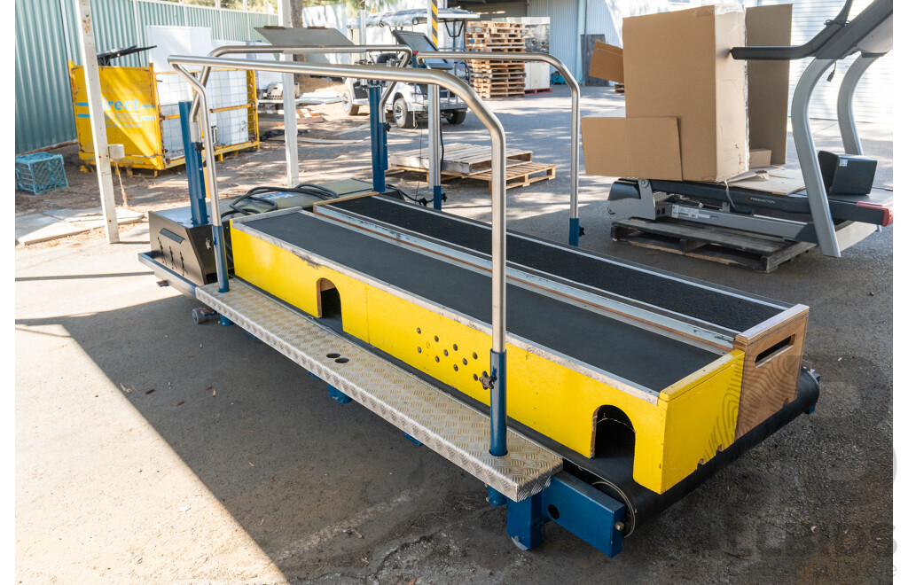 Austredex Large Heavy Duty Commerical Treadmill