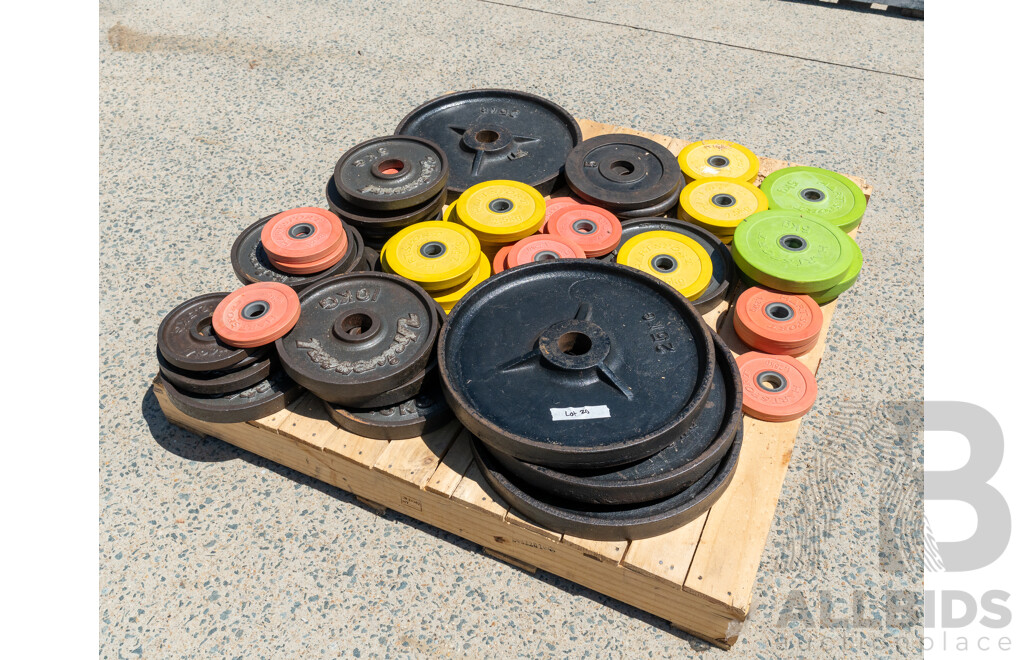Weight Plates in Various Weights & Sizes