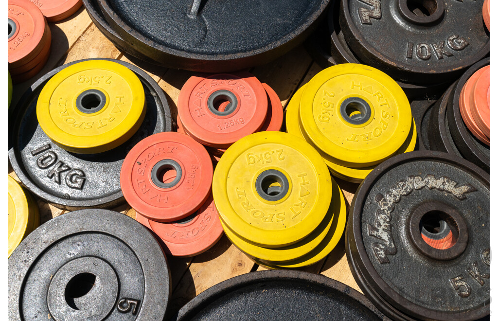 Weight Plates in Various Weights & Sizes