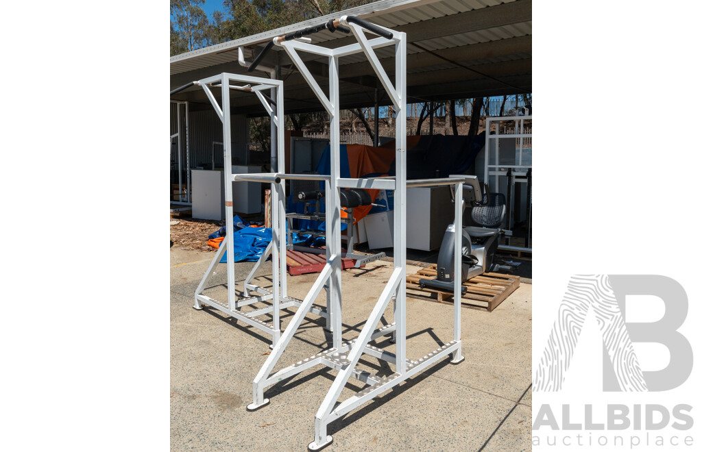 Calgym Pull Up / Dip Station