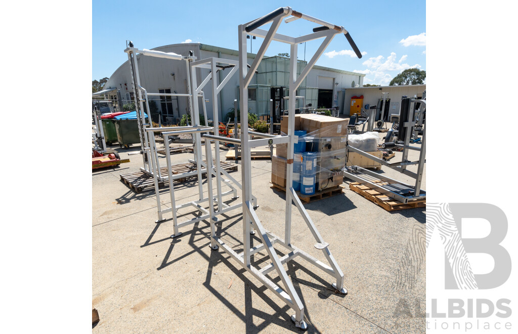 Calgym Pull Up / Dip Station