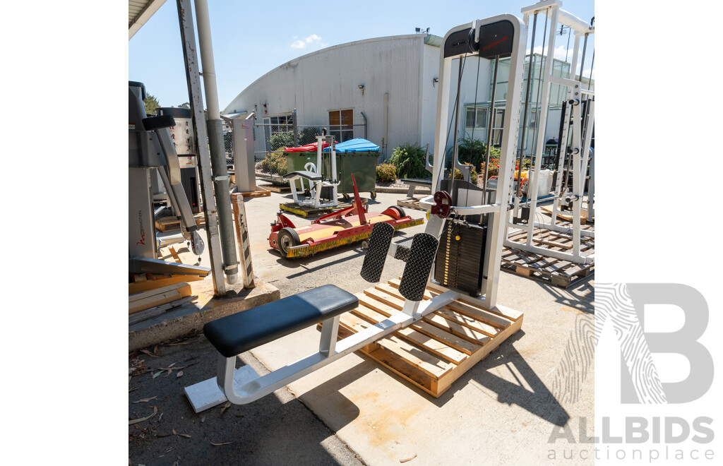 Maxim Platinum Commerical Pin Loaded Cable Row