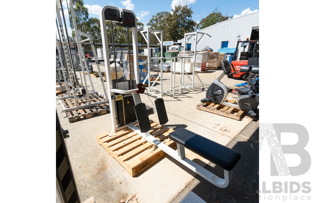 Maxim Platinum Commerical Pin Loaded Cable Row